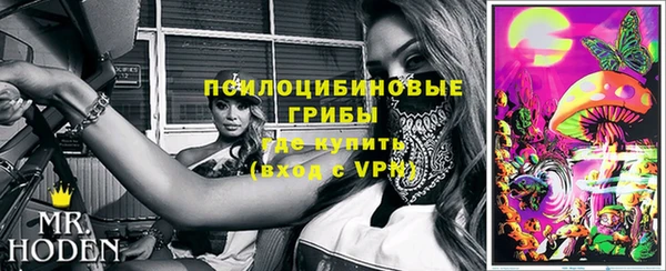 меф Белокуриха
