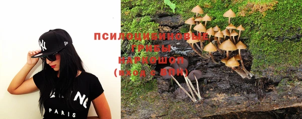 твердый Балахна