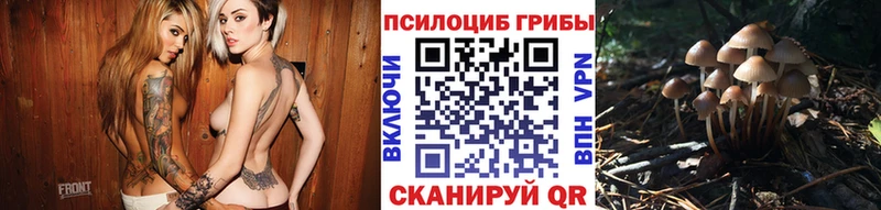 Купить  Советск  Псилоцибиновые грибы GOLDEN TEACHER 